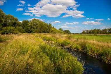 Yeşil çayır ve mavi gökyüzünün panoramik görüntüsü. Önünde bir nehir var. Yüksek kalite fotoğraf