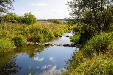 Kıyı ve mavi gökyüzü yemyeşil doğada akıyor..