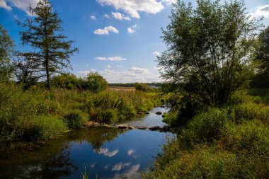 Sahilde bol yeşillik ve mavi gökyüzü ile birlikte yeşil doğada akıyor. Yüksek kalite fotoğraf