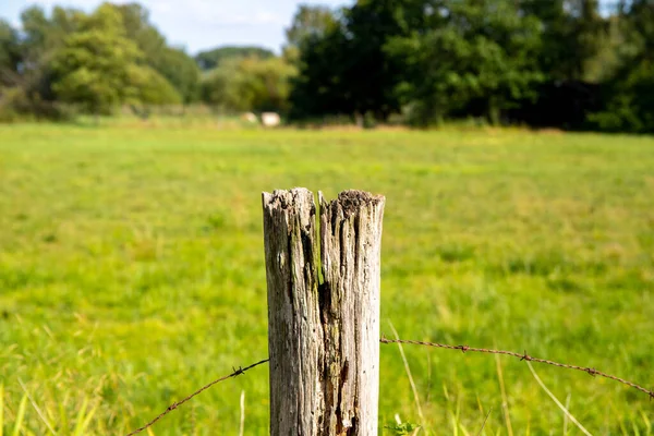single rotting wooden fence post with barbed wire on a landscape meadow.