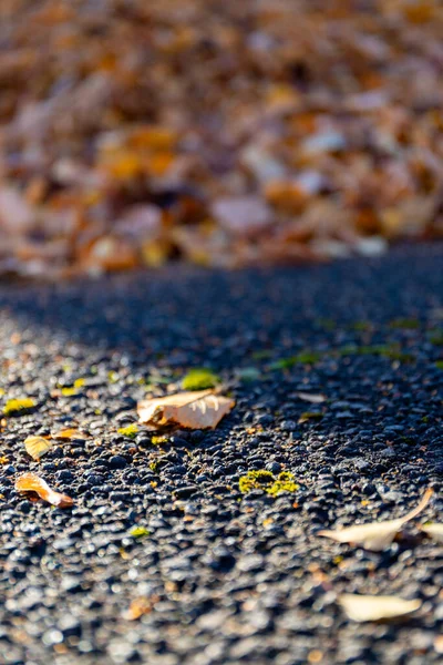 Autumn leaves pile on a street. High quality photo
