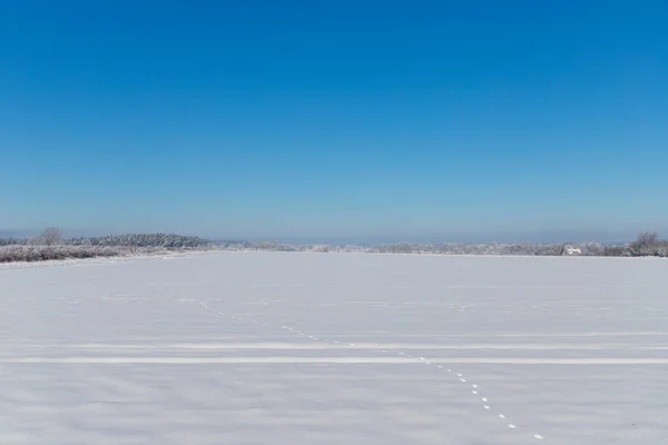 Krajobraz Śniegu Panorama Torami Błękitnym Niebem Wysokiej Jakości Zdjęcie — Zdjęcie stockowe