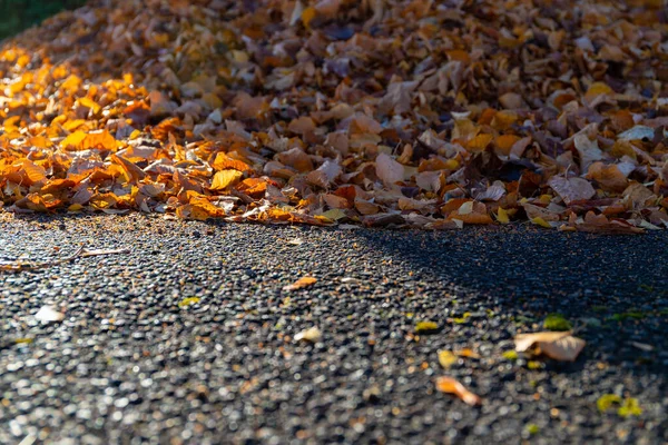 Autumn leaves pile on a street. High quality photo