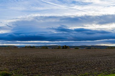 Ekim sonbaharında mavi gökyüzü olan bir buğday tarlası manzarası. Yüksek kalite fotoğraf