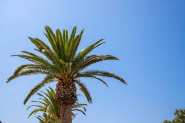 Mavi gökyüzü. Yüksek kalite fotoğraf