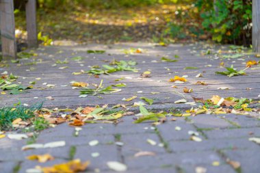 Makro görüntü yere yakın, toprak yolda taşlar. Yüksek kalite fotoğraf