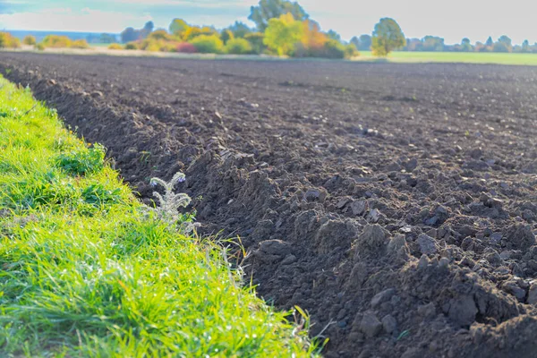 Frisch Bewirtschaftete Landwirtschaftliche Flächen Herbst Hochwertiges Foto lizenzfreie Stockfotos