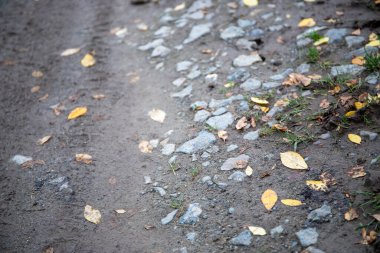 Toprakta taşlar, yolda sonbahar yaprakları olan toprak bir yol. Yüksek kalite fotoğraf