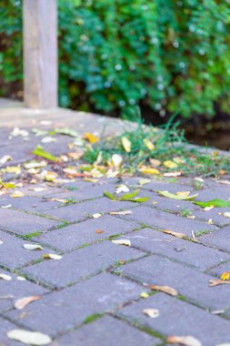 Makro görüntü yere yakın, toprak yolda taşlar. Yüksek kalite fotoğraf