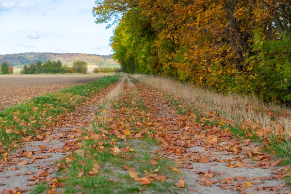 Брудна Дорога Восени Блакитним Небом Високоякісна Фотографія — стокове фото