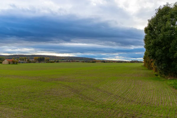 岛上的田野前面长着秋天的树 高质量的照片 — 图库照片