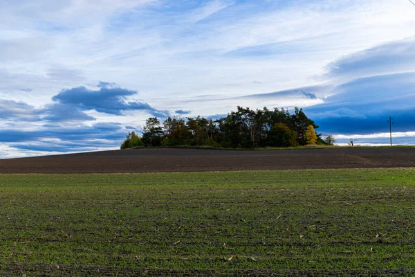 岛上的田野前面长着秋天的树 高质量的照片 — 图库照片