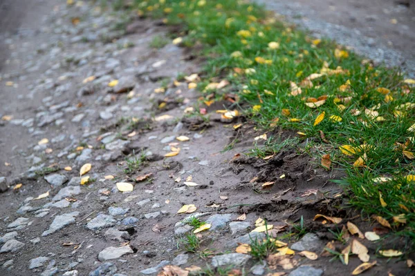 Jesienią Drogi Gruntowe Rolników Liści Kamienie Ziemi Trawy Środku Wysokiej — Zdjęcie stockowe