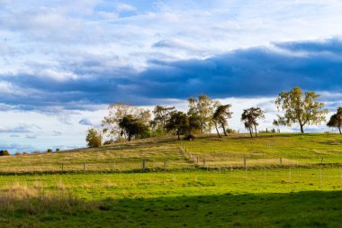 Sonbaharda tepelerle, ağaçlarla ve mavi gökyüzüyle manzara. Yüksek kalite fotoğraf