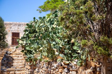 Spionalonga, Girit 'teki eski harabeler. Yüksek kalite fotoğraf