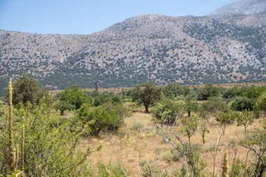 Girit 'teki engebeli bir kaya manzarasının manzarası. Arkasında dağlar var. Yüksek kalite fotoğraf