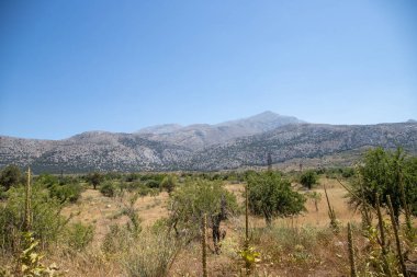 Girit 'teki engebeli bir kaya manzarasının manzarası. Arkasında dağlar var. Yüksek kalite fotoğraf
