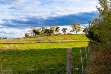 Sonbaharda tepelerle, ağaçlarla ve mavi gökyüzüyle manzara. Yüksek kalite fotoğraf