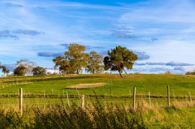 Sonbaharda tepelerle, ağaçlarla ve mavi gökyüzüyle manzara. Yüksek kalite fotoğraf