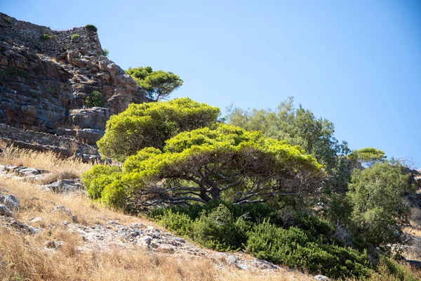 Panorama Einer Rauen Felslandschaft Auf Kreta Mit Bergen Hintergrund Hochwertiges — Stockfoto