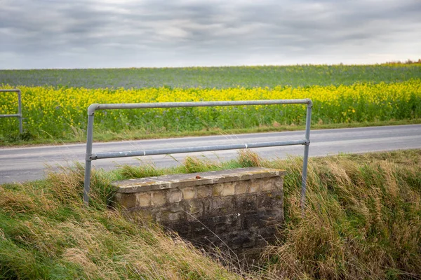 Wastewater Bridge Country Road Autumn Rapefield Background High Quality Photo — Stock Photo, Image