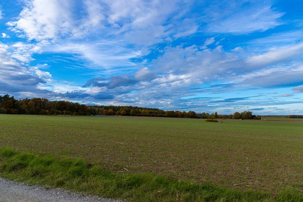Eiland Met Herfstbomen Voor Een Veld Hoge Kwaliteit Foto — Stockfoto