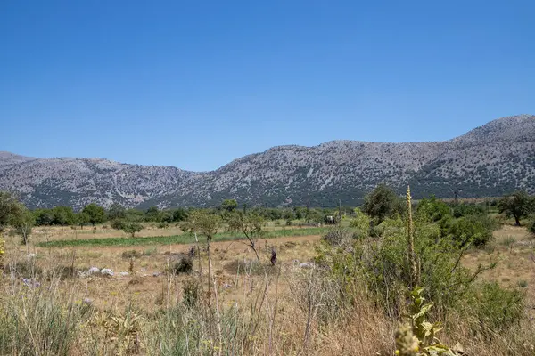 Girit 'teki engebeli bir kaya manzarasının manzarası. Arkasında dağlar var. Yüksek kalite fotoğraf