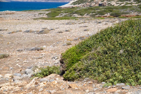 stock image Panorama of a rough rock landscape in Crete with mountains in the background. High quality photo