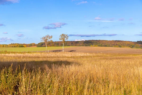 Panorama Wheat Field October Autumn Blue Sky High Quality Photo — Stock Photo, Image