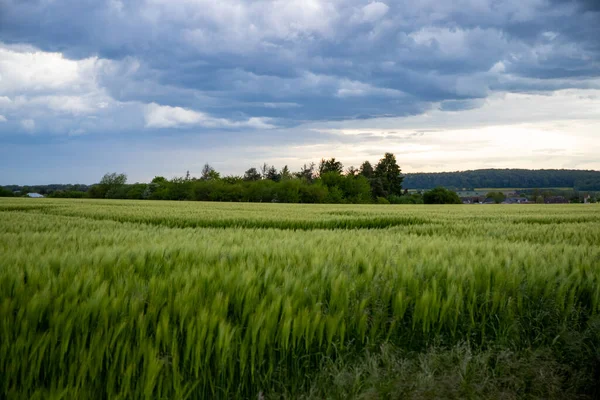 Πανοραμική Θέα Του Αγρού Ενός Αγρότη Γαλάζιο Ουρανό Και Σύννεφα — Φωτογραφία Αρχείου
