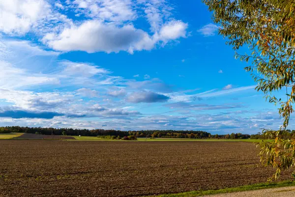 Panorama Campo Trigo Octubre Otoño Con Cielo Azul Foto Alta — Foto de Stock