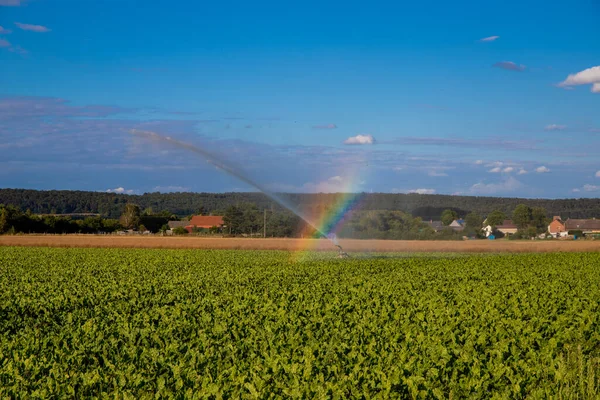 Panorama with water cannon for watering and a rainbow by the water. High quality photo