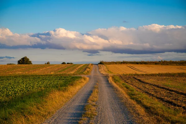 Paisagem Agrícola Panorâmica Com Uma Estrada Terra Céu Azul Foto — Fotografia de Stock