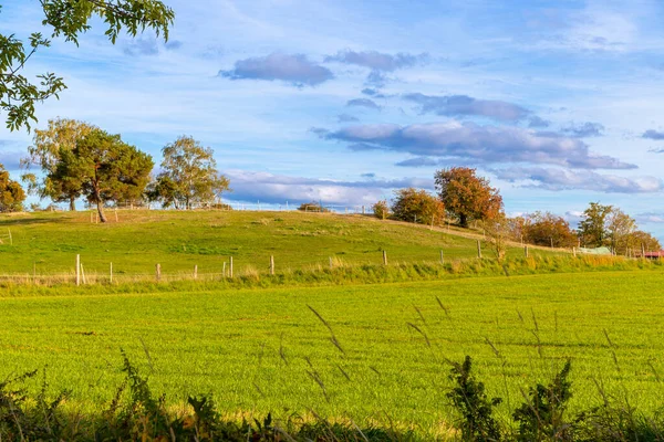 青い空と秋の丘や木々の風景 高品質の写真 — ストック写真