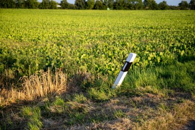 Tarım arazisi ve bir yol kazanı. Yüksek kalite fotoğraf