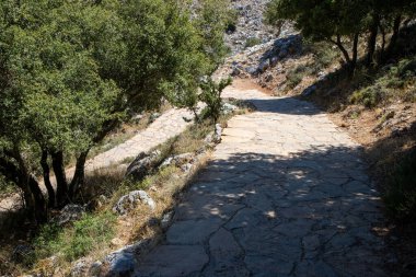 Kaba taş levhalardan çıkan yol. Yüksek kalite fotoğraf