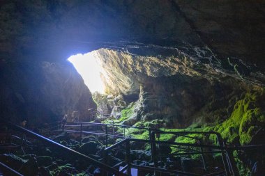 Mağara duvarları yosun ile kaplanmış. Yüksek kalite fotoğraf