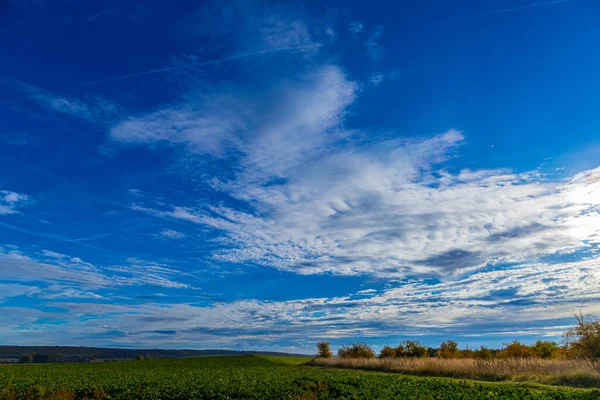 Panorama Ett Vetefält Oktober Hösten Med Blå Himmel Högkvalitativt Foto — Stockfoto