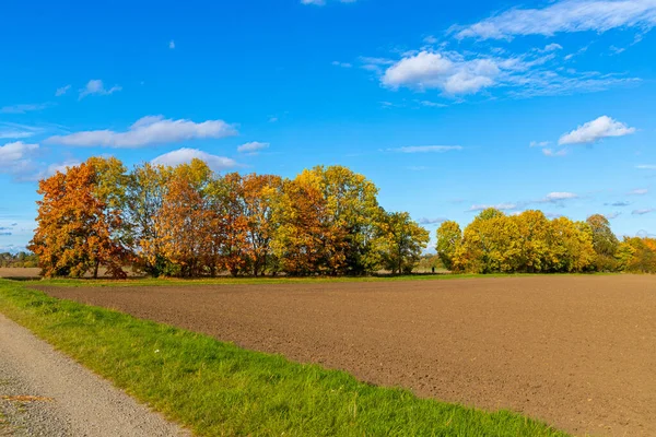 青空と秋の未舗装の道路 高品質の写真 — ストック写真