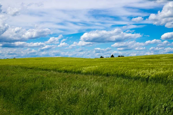 青空と雲が広がる農家の畑のパノラマビュー 高品質の写真 — ストック写真