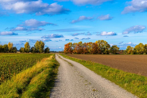 Брудна Дорога Восени Блакитним Небом Високоякісна Фотографія — стокове фото