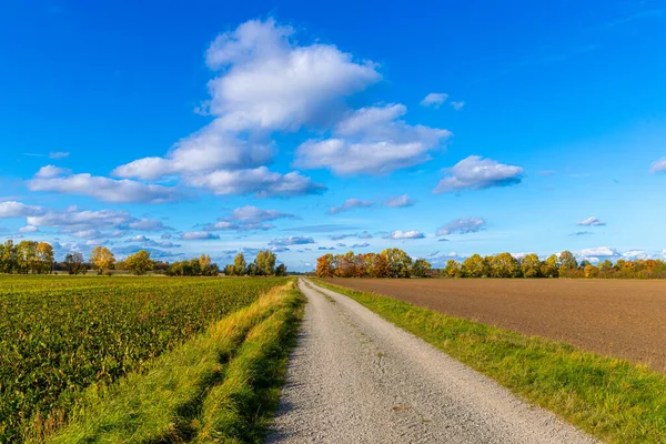 Brudna Droga Jesienią Błękitnym Niebem Wysokiej Jakości Zdjęcie — Zdjęcie stockowe