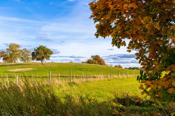Landskap Med Kullar Och Träd Hösten Med Blå Himmel Högkvalitativt — Stockfoto