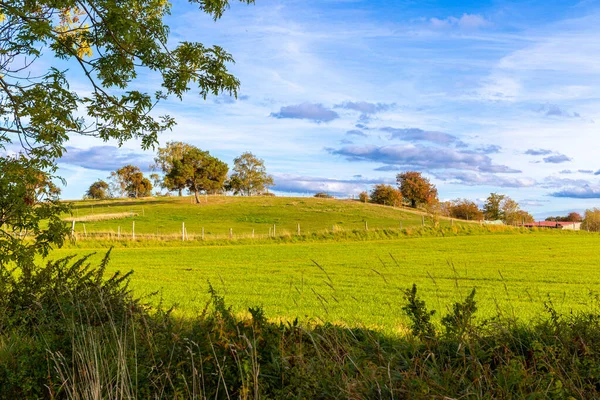 青い空と秋の丘や木々の風景 高品質の写真 — ストック写真