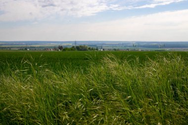 Tarlaların ve bulutlu gökyüzünün manzarası. Yüksek kalite fotoğraf
