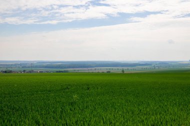 Tarlaların ve bulutlu gökyüzünün manzarası. Yüksek kalite fotoğraf