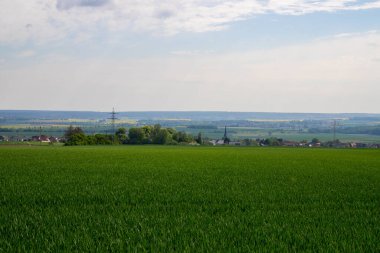 Tarlaların ve bulutlu gökyüzünün manzarası. Yüksek kalite fotoğraf