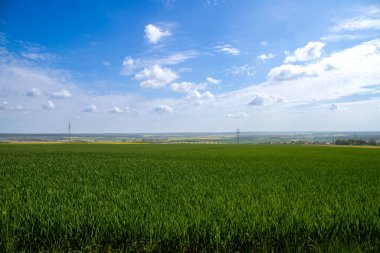 Tarlaların ve bulutlu gökyüzünün manzarası. Yüksek kalite fotoğraf