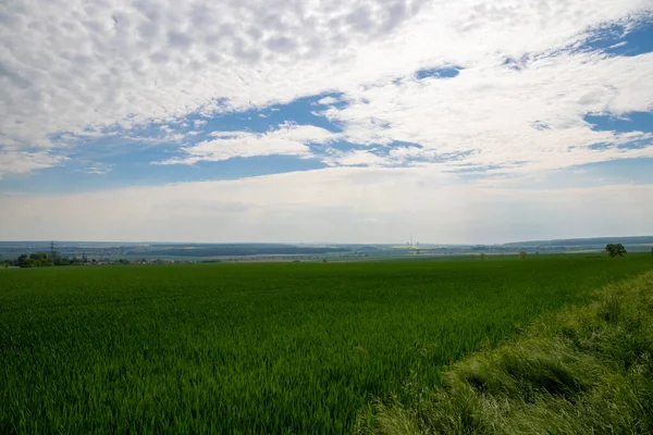 Landskapsbild Fält Och Molnig Himmel Högkvalitativt Foto — Stockfoto