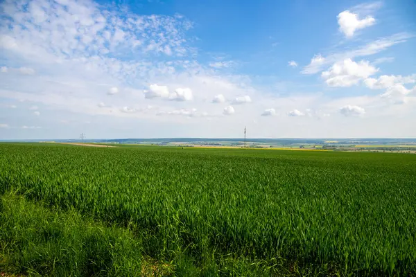 Landschaftsaufnahme Von Feldern Und Bewölktem Himmel Hochwertiges Foto — Stockfoto